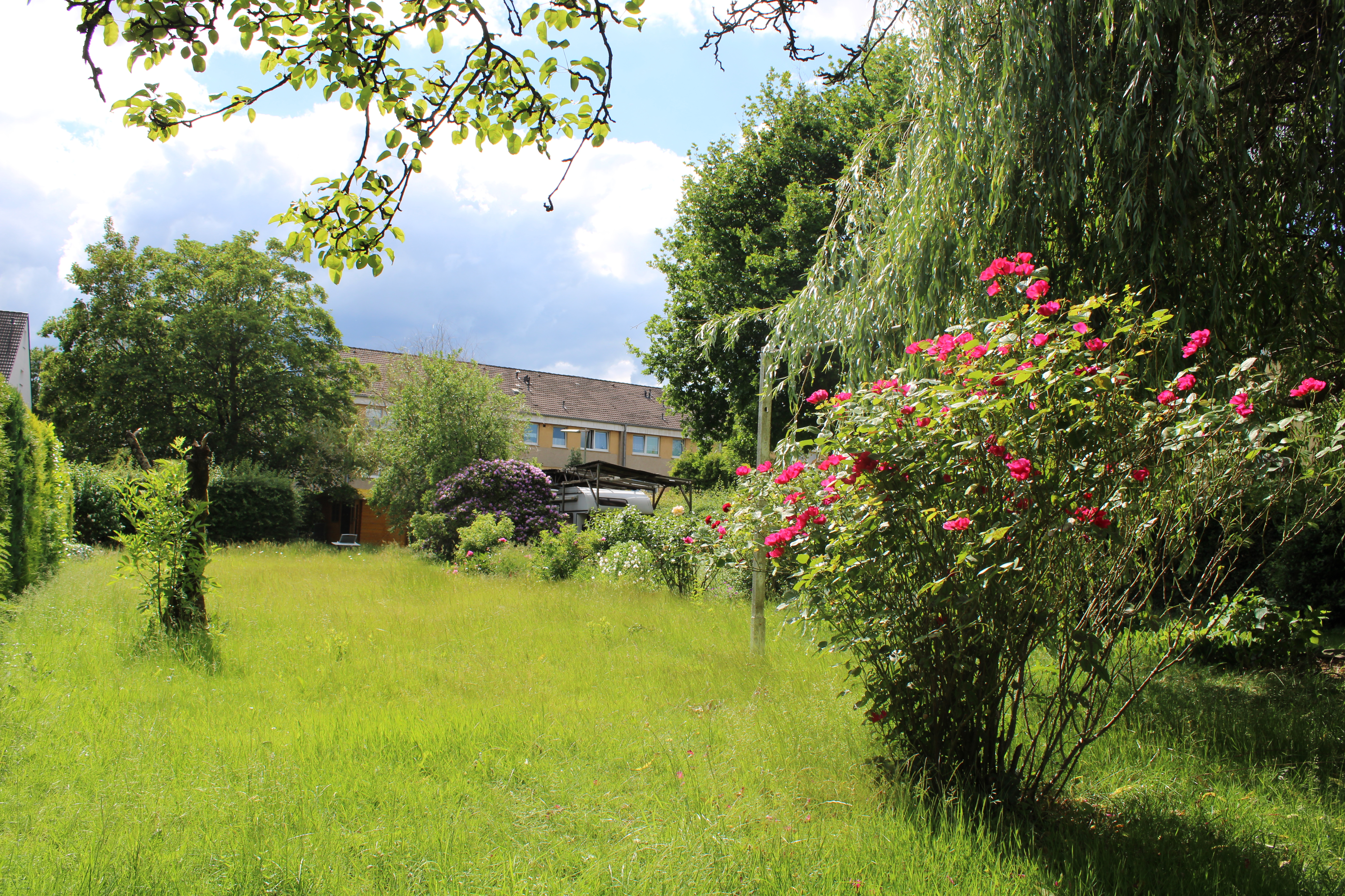 Wohnen im Grünen Bezugsfreie 3,5-Zimmer-Wohnung mit Garten in Hagen-Vorhalle