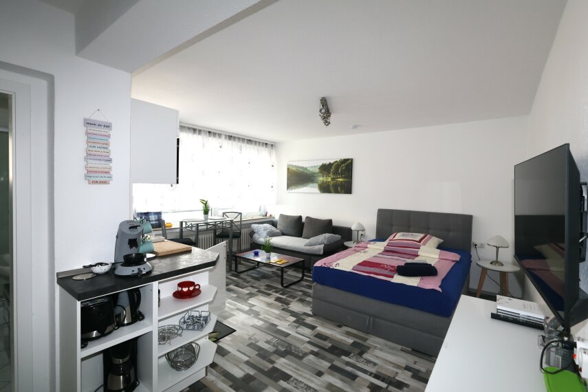 Wohn / Schlafzimmer